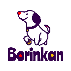 Borinkan